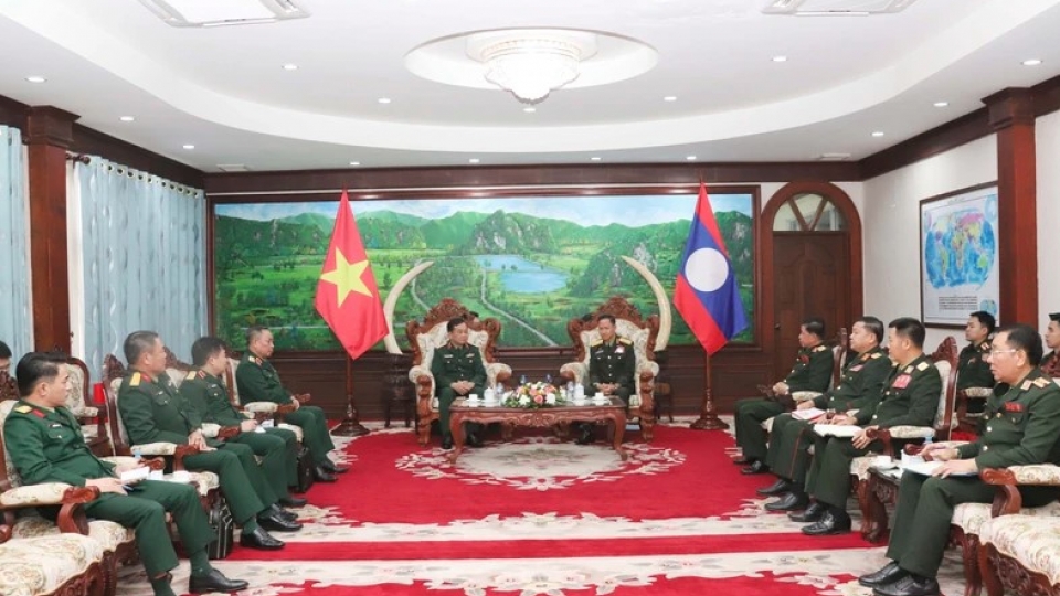 Vietnam offers support to Laos in peacekeeping capacity building